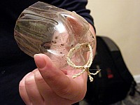 2011_0510_214236.jpg