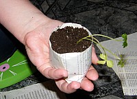 2011_0510_214424.jpg