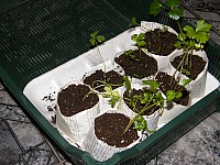 2011_0510_214432.jpg