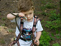 2009_0531_115849.jpg
