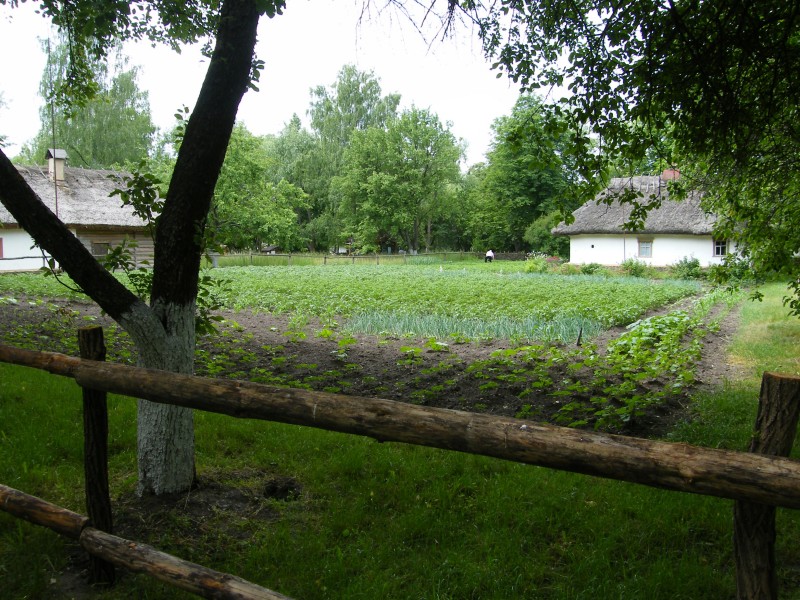 2009_0608_122652.jpg