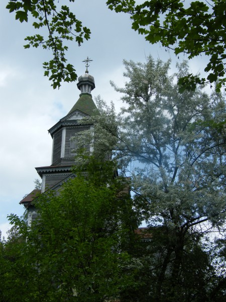 2009_0608_131945.jpg