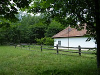 2009_0608_120500.jpg