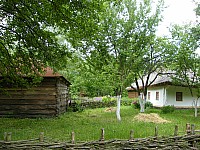 2009_0608_123419.jpg