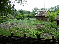 2009_0608_124844.jpg